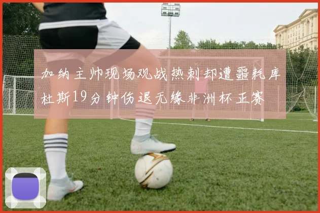 加纳主帅现场观战热刺却遭噩耗库杜斯19分钟伤退无缘非洲杯正赛